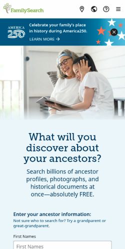 Screenshot of the audited page (Mobile 375×812)