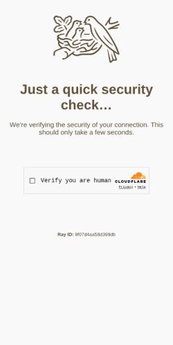Screenshot of the audited page (Mobile 375×812)