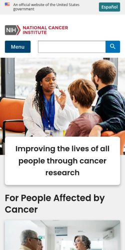 Screenshot of the audited page (Mobile 375×812)