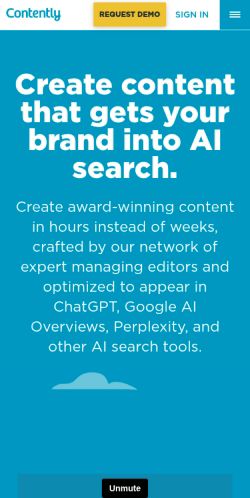 Screenshot of the audited page (Mobile 375×812)