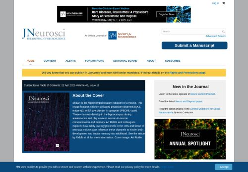 Screenshot of the audited page (Desktop 1440×900)