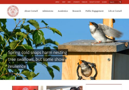 Screenshot of the audited page (Desktop 1440×900)