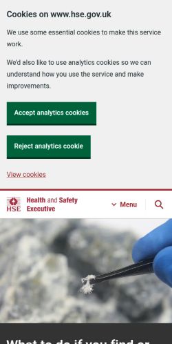 Screenshot of the audited page (Mobile 375×812)