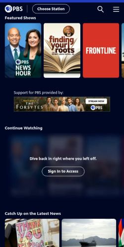 Screenshot of the audited page (Mobile 375×812)