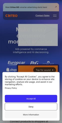 Screenshot of the audited page (Mobile 375×812)