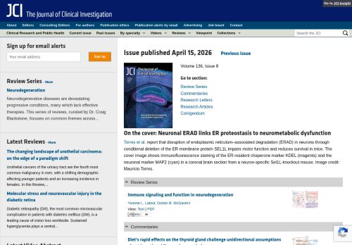 Screenshot of the audited page (Desktop 1440×900)