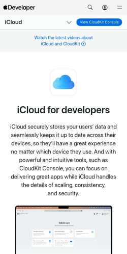 Screenshot of the audited page (Mobile 375×812)