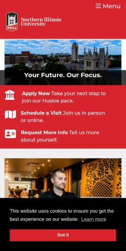 Screenshot of the audited page (Mobile 375×812)