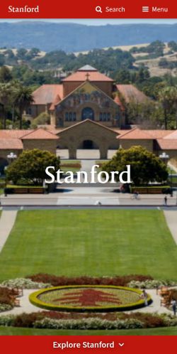 Screenshot of the audited page (Mobile 375×812)