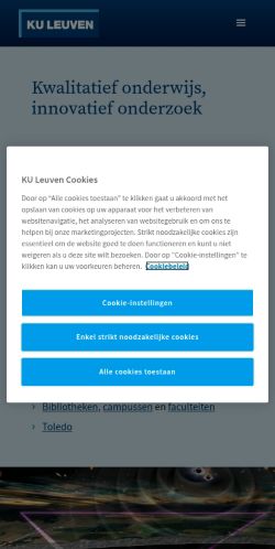 Screenshot of the audited page (Mobile 375×812)