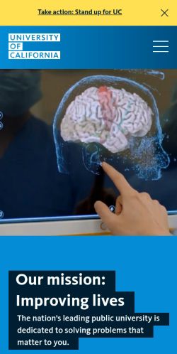 Screenshot of the audited page (Mobile 375×812)