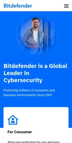 Screenshot of the audited page (Mobile 375×812)