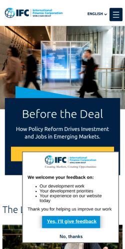 Screenshot of the audited page (Mobile 375×812)