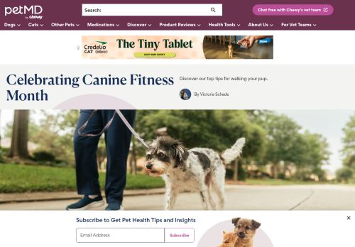 Screenshot of the audited page (Desktop 1440×900)