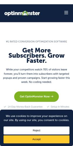 Screenshot of the audited page (Mobile 375×812)