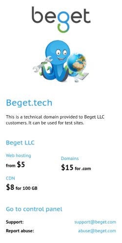 Screenshot of the audited page (Mobile 375×812)