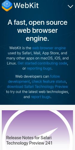 Screenshot of the audited page (Mobile 375×812)