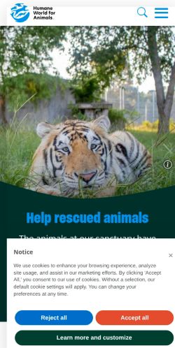 Screenshot of the audited page (Mobile 375×812)