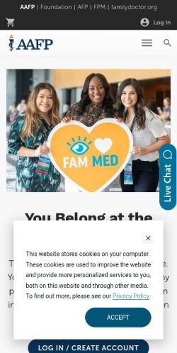 Screenshot of the audited page (Mobile 375×812)