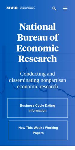 Screenshot of the audited page (Mobile 375×812)