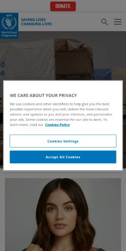 Screenshot of the audited page (Mobile 375×812)