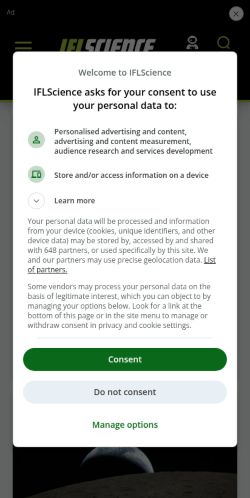 Screenshot of the audited page (Mobile 375×812)