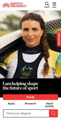 Screenshot of the audited page (Mobile 375×812)