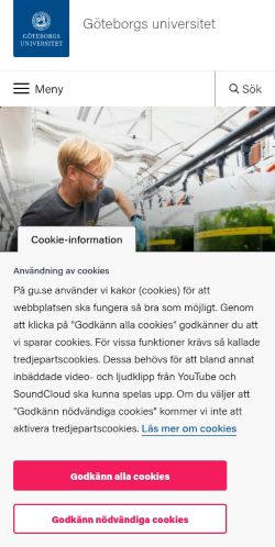 Screenshot of the audited page (Mobile 375×812)