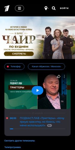 Screenshot of the audited page (Mobile 375×812)