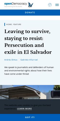 Screenshot of the audited page (Mobile 375×812)