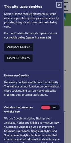 Screenshot of the audited page (Mobile 375×812)