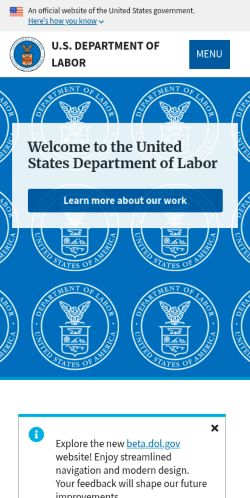 Screenshot of the audited page (Mobile 375×812)