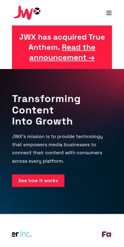 Screenshot of the audited page (Mobile 375×812)