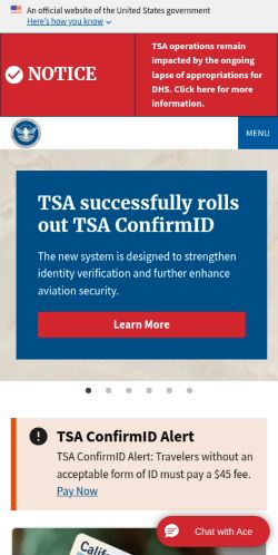 Screenshot of the audited page (Mobile 375×812)