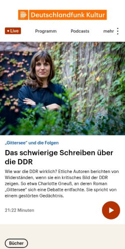 Screenshot of the audited page (Mobile 375×812)