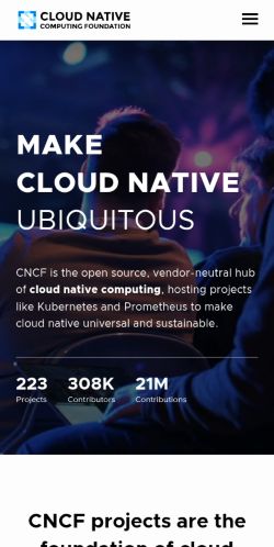 Screenshot of the audited page (Mobile 375×812)