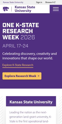 Screenshot of the audited page (Mobile 375×812)