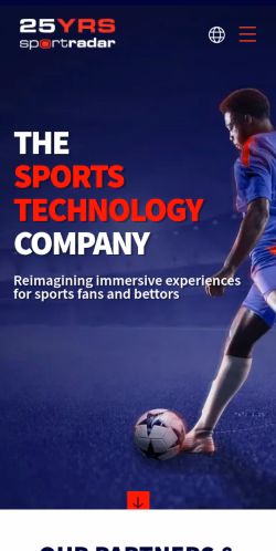 Screenshot of the audited page (Mobile 375×812)