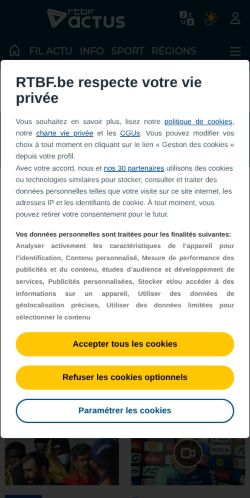 Screenshot of the audited page (Mobile 375×812)