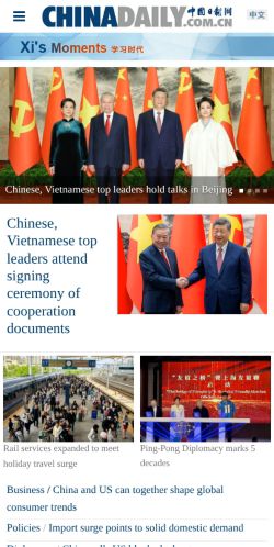 Screenshot of the audited page (Mobile 375×812)