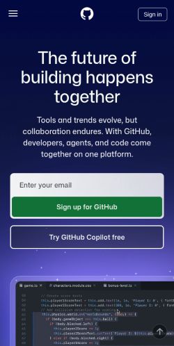 Screenshot of the audited page (Mobile 375×812)