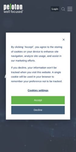 Screenshot of the audited page (Mobile 375×812)