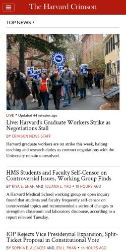 Screenshot of the audited page (Mobile 375×812)