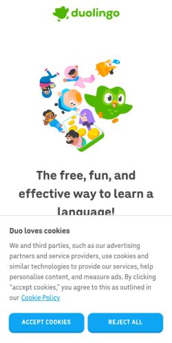 Screenshot of the audited page (Mobile 375×812)