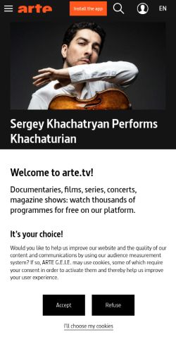 Screenshot of the audited page (Mobile 375×812)