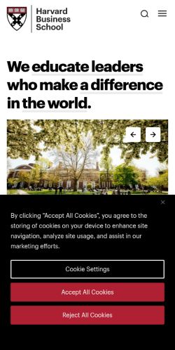 Screenshot of the audited page (Mobile 375×812)