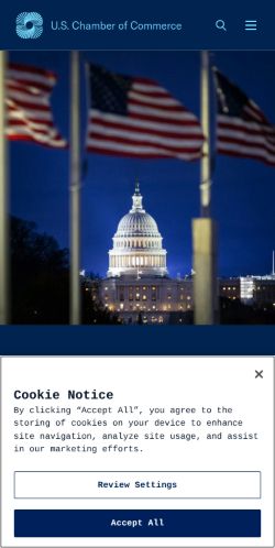 Screenshot of the audited page (Mobile 375×812)