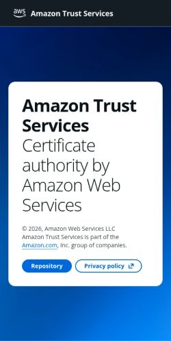 Screenshot of the audited page (Mobile 375×812)