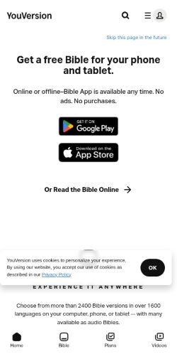 Screenshot of the audited page (Mobile 375×812)