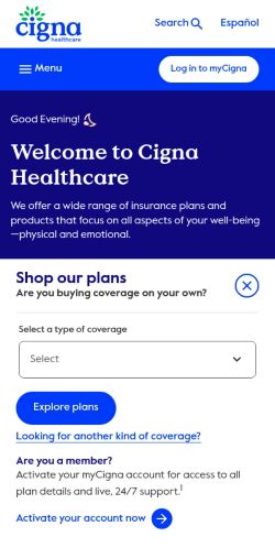 Screenshot of the audited page (Mobile 375×812)